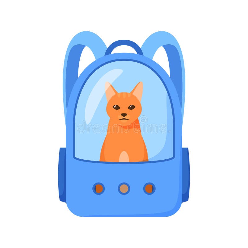 Cat backpack,Beautiful Transparent Portable Cat Carrier Bag - Washable,  Durable & Comfortable For your Cats - Lahore Pets