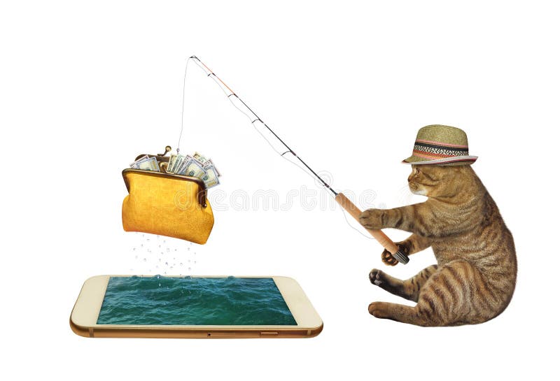 Cat fishing in phone stock photo. Image of catch, screen - 170000694