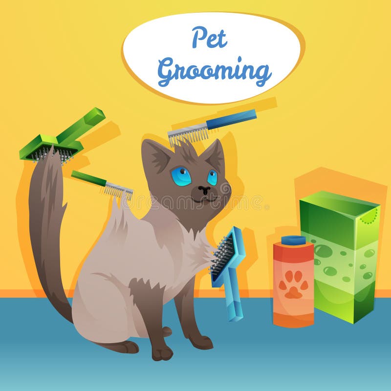 Cat Character in Groom Salon Stock Vector Illustration of isolated