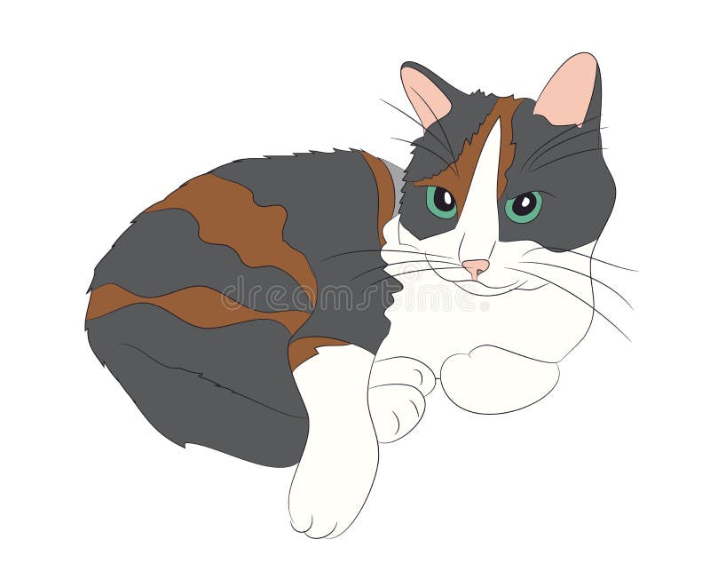 Cat Color Vector Stock Vector Illustration Of Icon