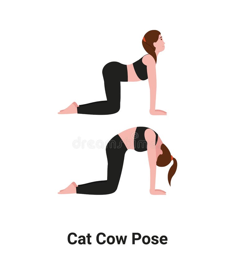 Cat Cow Yoga Pose Stock Illustrations 47 Cat Cow Yoga Pose Stock Illustrations Vectors Clipart Dreamstime