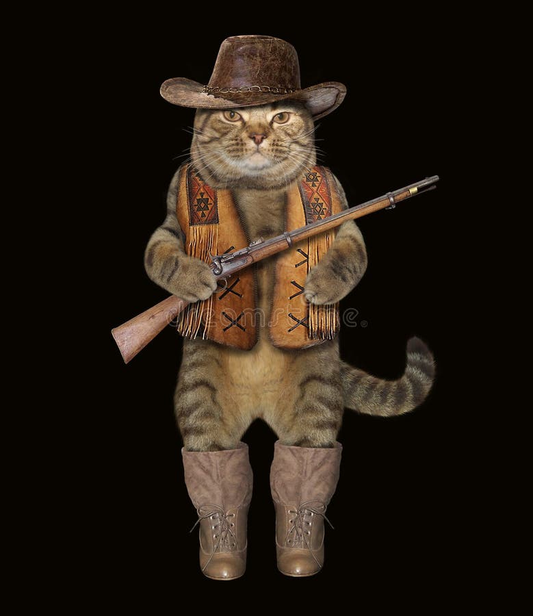 318 Cat Cowboy Stock Photos - Free & Royalty-Free Stock Photos From  Dreamstime