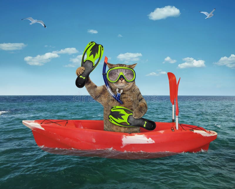 Cat diver drifting in a red boat