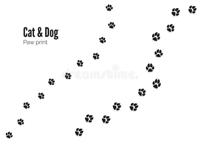 Cat and Dog Paw Print. Pets or Animals Paw Trail Stock Vector ...