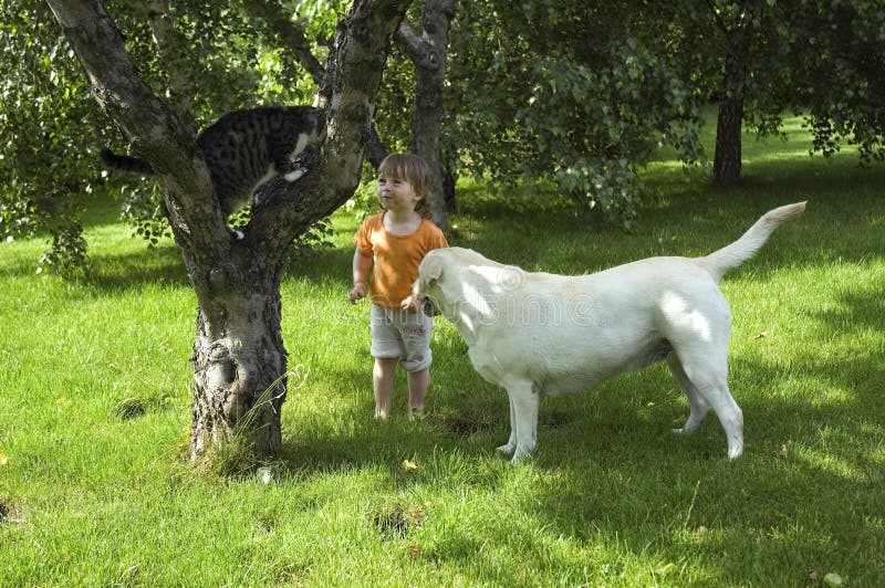 Cat, dog, tree and little hunter