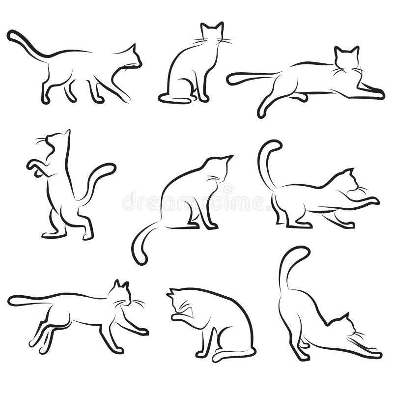 Cat drawing set stock vector. Illustration of companion 10856202