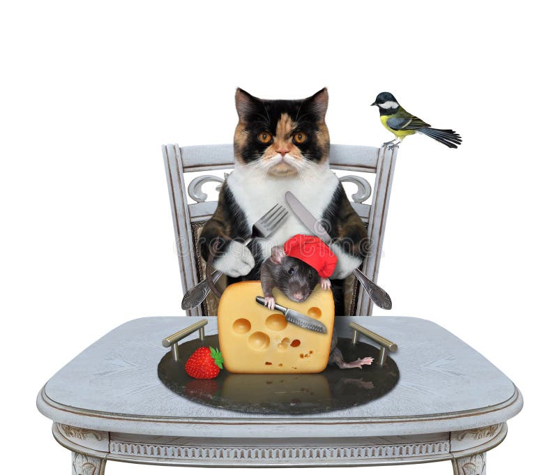 A multi colored cat with a knife and a fork is eating a piece of cheese from a granite tray in a restaurant. White background. Isolated. A multi colored cat with a knife and a fork is eating a piece of cheese from a granite tray in a restaurant. White background. Isolated