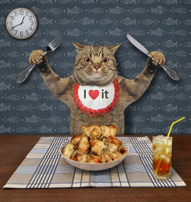 Cat Eats Roasted Meat at Table Stock Image Image of glass, humor