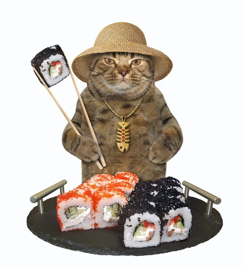 can dogs and cats eat sushi