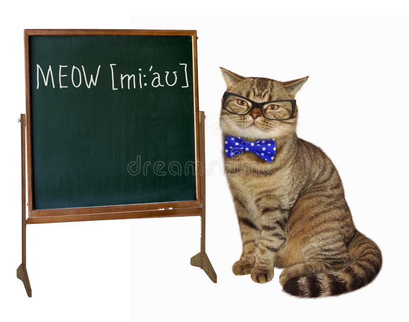 English teacher stock photography English teacher stock photography