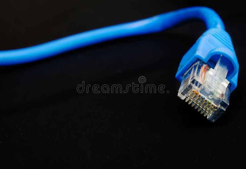 Cat5 Cable stock photo. Image of 31459852