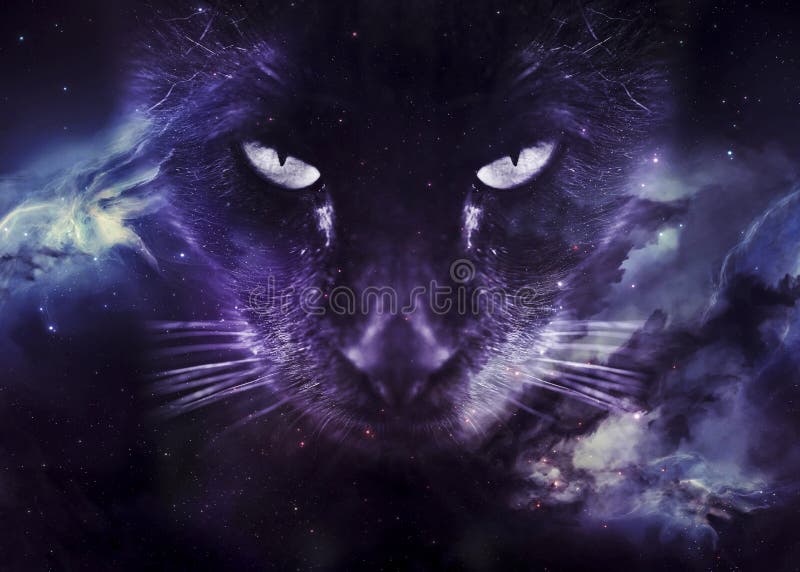 322 Animals Galaxy Stock Photos - Free & Royalty-Free Stock Photos from Dreamstime 322 Animals Galaxy Stock Photos - Free & Royalty-Free Stock Photos from Dreamstime