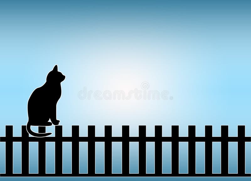 cat on fence