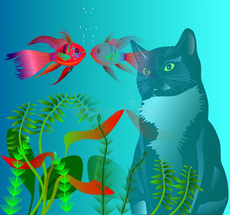 Cat and fish. The cat looks at the fish in the aquarium Cat and fish. The cat looks at the fish in the aquarium