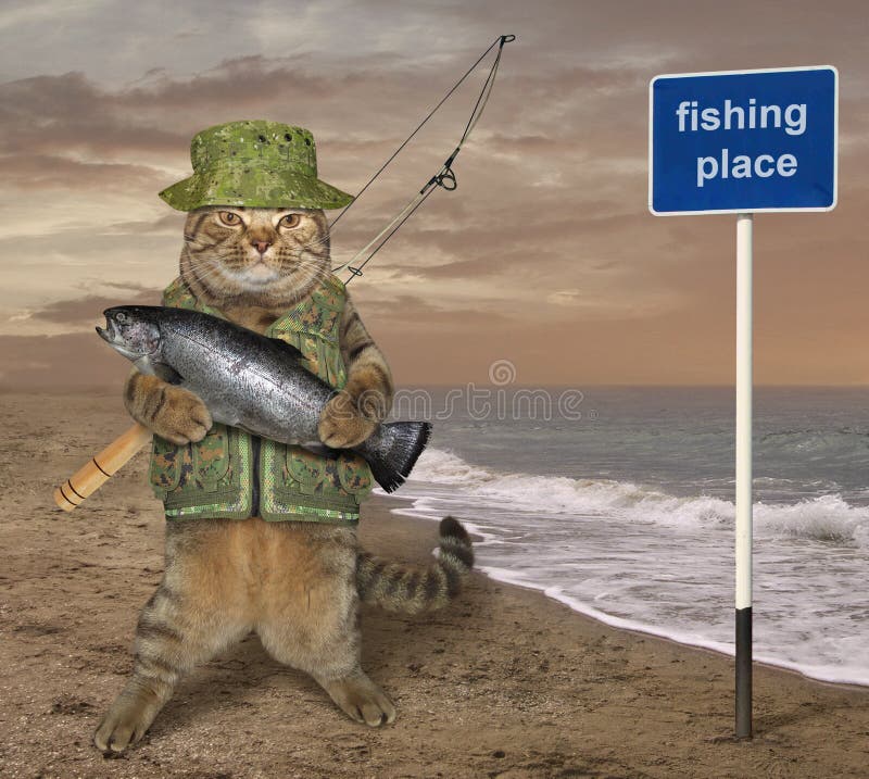 Fisherman Cat Stock Illustrations – 410 Fisherman Cat Stock