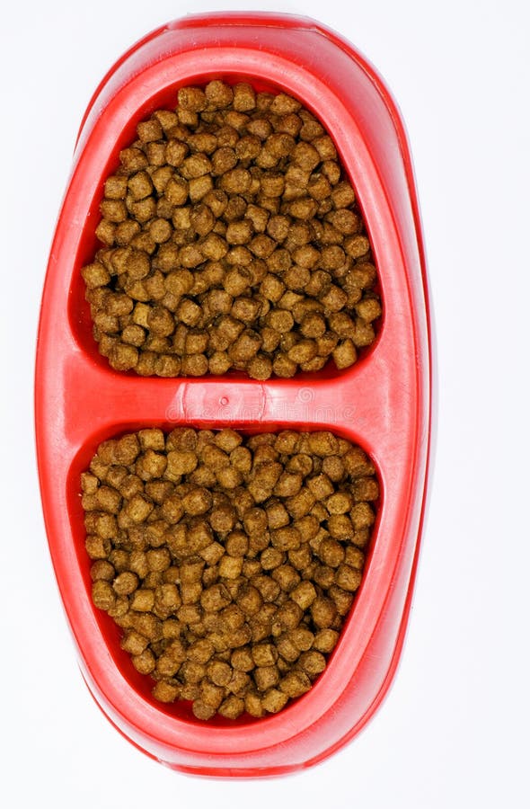 Cat food stock image. Image of white, isolated, bowl 11065453