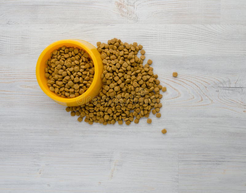 Cat food in bowl stock image. Image of food, shape, brown 125469573