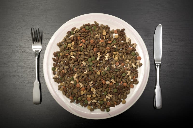 Cat food on a plate stock image. Image of healthy, diet 29207905