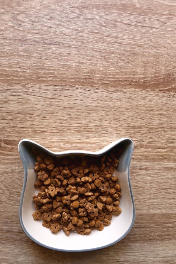Cat Food stock photo. Image of feeding, ceramic, meal 230456284