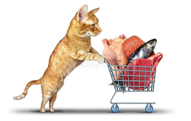 cats grocery shopping