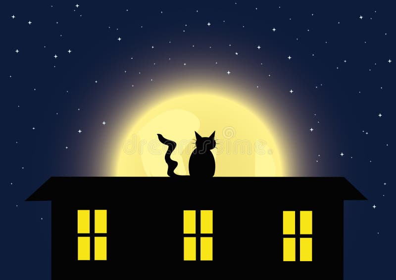 The cat and full moon