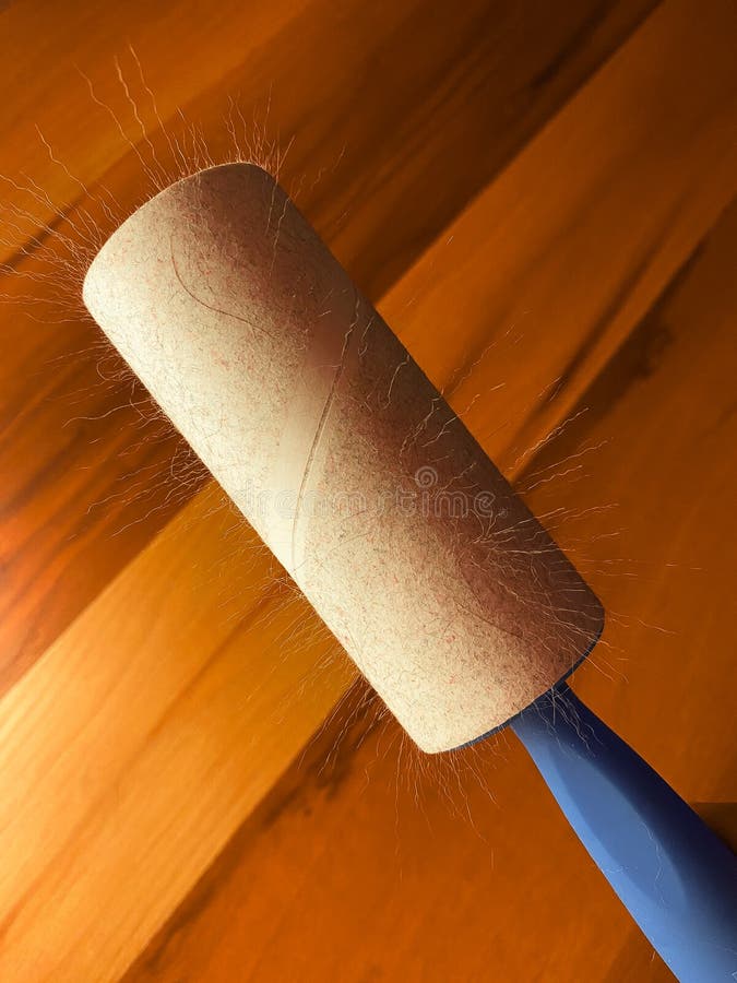 Cat Fur Elevated on Roller by Static Electric Close Up View Stock Image