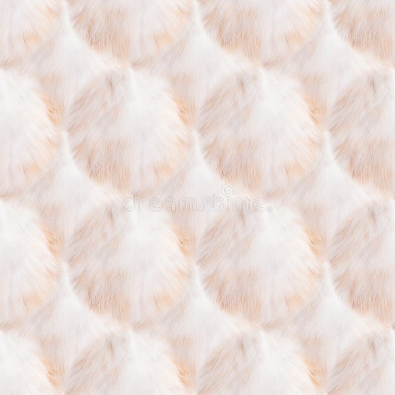 Sheep Wool Fur Background Texture Wallpaper Stock Photo Picture And  Royalty Free Image Image 53373550