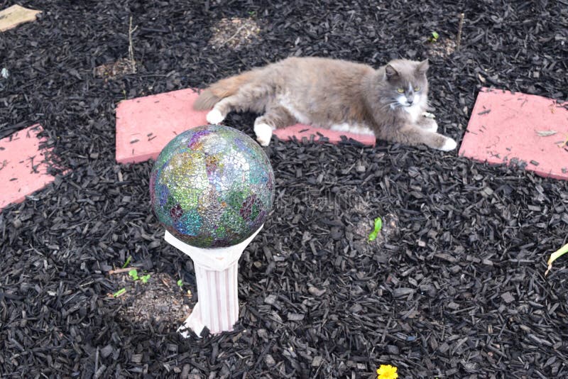 Gazing ball in orange stock image. Image of orange, center 138450355