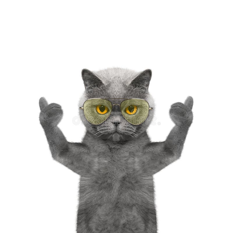 Cat in glasses showing thumb up and welcomes.