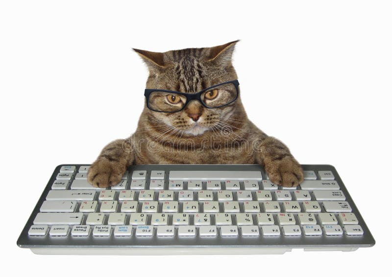545 Cat Typing Keyboard Stock Photos Free & RoyaltyFree Stock Photos