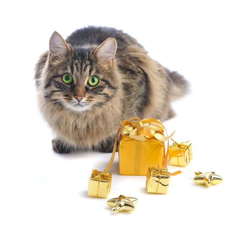 Gift Boxes Under Christmas Tree Stock Image Image of decorative, closeup 27288983