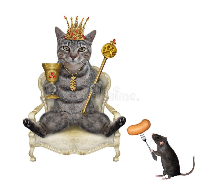 Rat king hi-res stock photography and images - Alamy