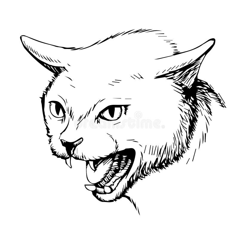 Angry cat drawing - Stock Illustration [61305872] - PIXTA