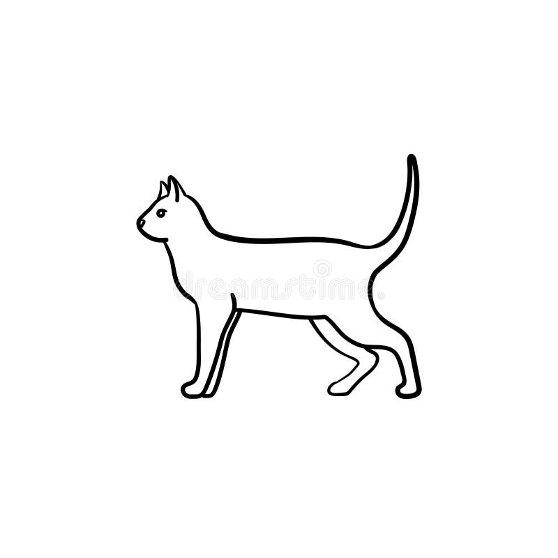 How to Draw a Cat Step By Step | Draw Cat Easy | Nil Tech - shop.nil-tech