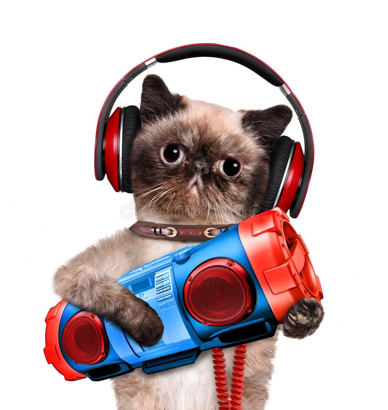 Cat Headphones with Tape Recorder. Stock Photo Image of creative