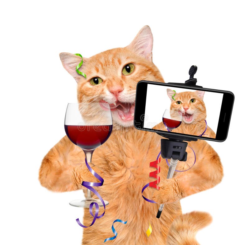 Cat is holding a glass of wine and celebrating.