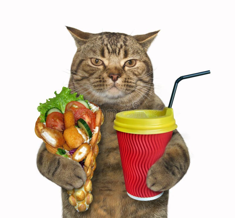 Кот с кофе и круассаном пробки мем Cat with waffles and latte stock image. Image of soft - 120705219