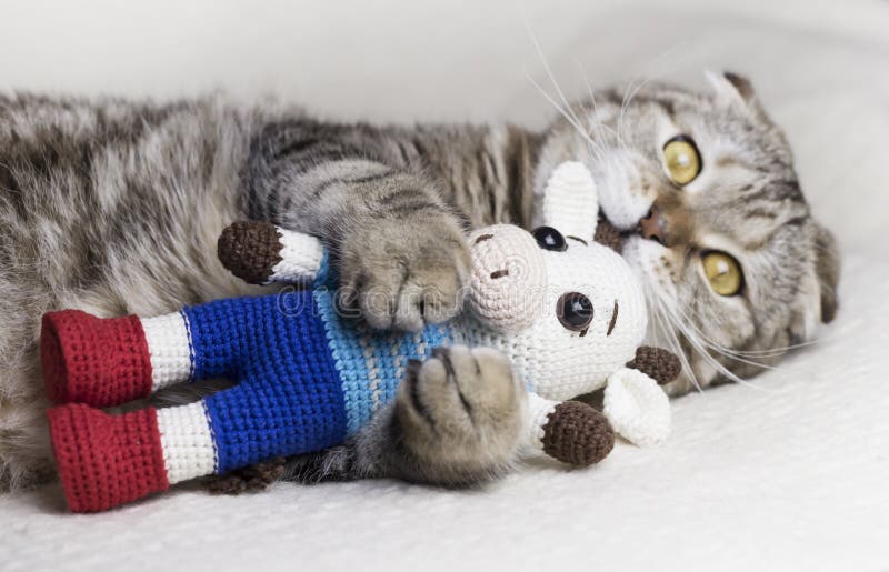 The cat hugs a toy bull. Cat on a New Year`s background. Striped.