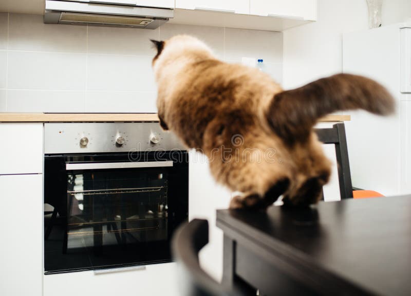 beamswork aquarium light