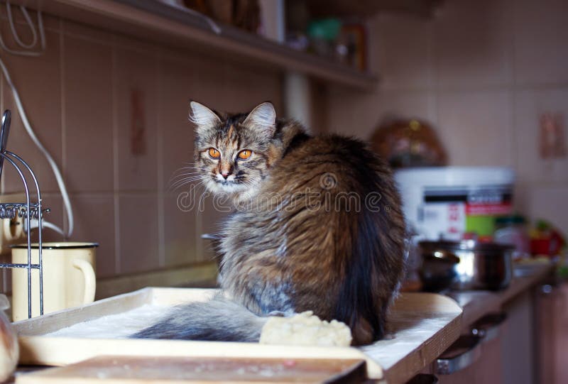 29,845 Damage Home Photos Free & RoyaltyFree Stock Photos from