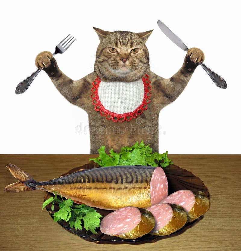 Cat and fish sausage. stock photo. Image of animal, desired 127917948