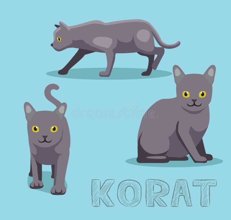 Korat Cat Cat Breed Face Cartoon Flat Icon Design Stock Illustration -  Download Image Now - 2015, Animal, Animal Body Part - iStock