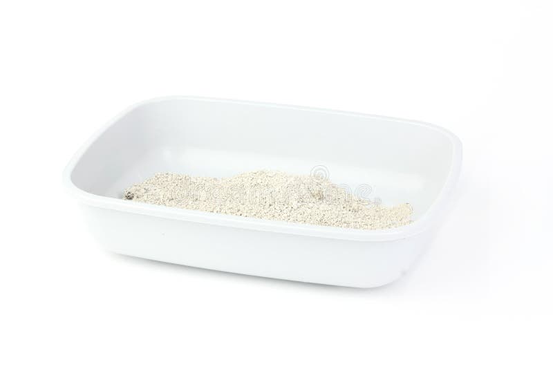 white cat litter box