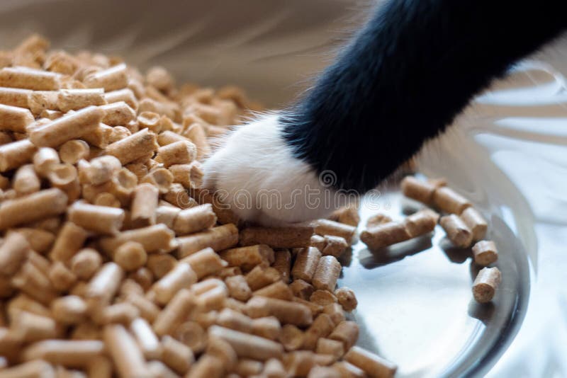 Clumping Cat Litter stock photo. Image of clean, clumping 15719378