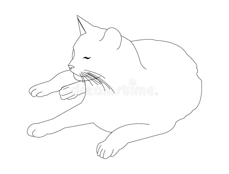 Lying cat black sketch Playful cat in doodle style Vector illustration  12975852 Vector Art at Vecteezy