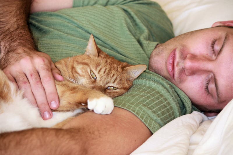 Cat and man laying comfortably on a bed. Cat and man laying comfortably on a bed