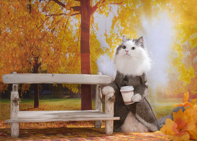 Cat with morning coffee walks in autumn park