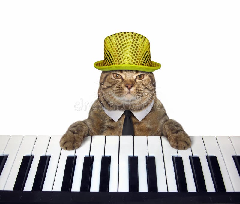 Cat in a Hat Plays the Piano 3 Stock Image - Image of humor
