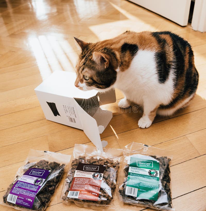 Cat Near Unboxed Dry Dog Food Manufactured By Chewies Editorial cat-near-unboxed-dry-dog-food-manufactured-by-chewies-editorial