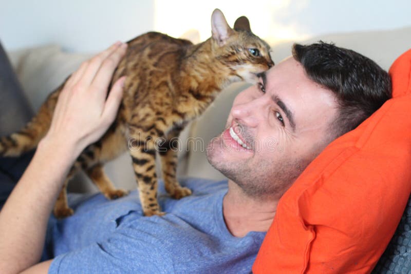 Cat and owner bonding at home stock photos